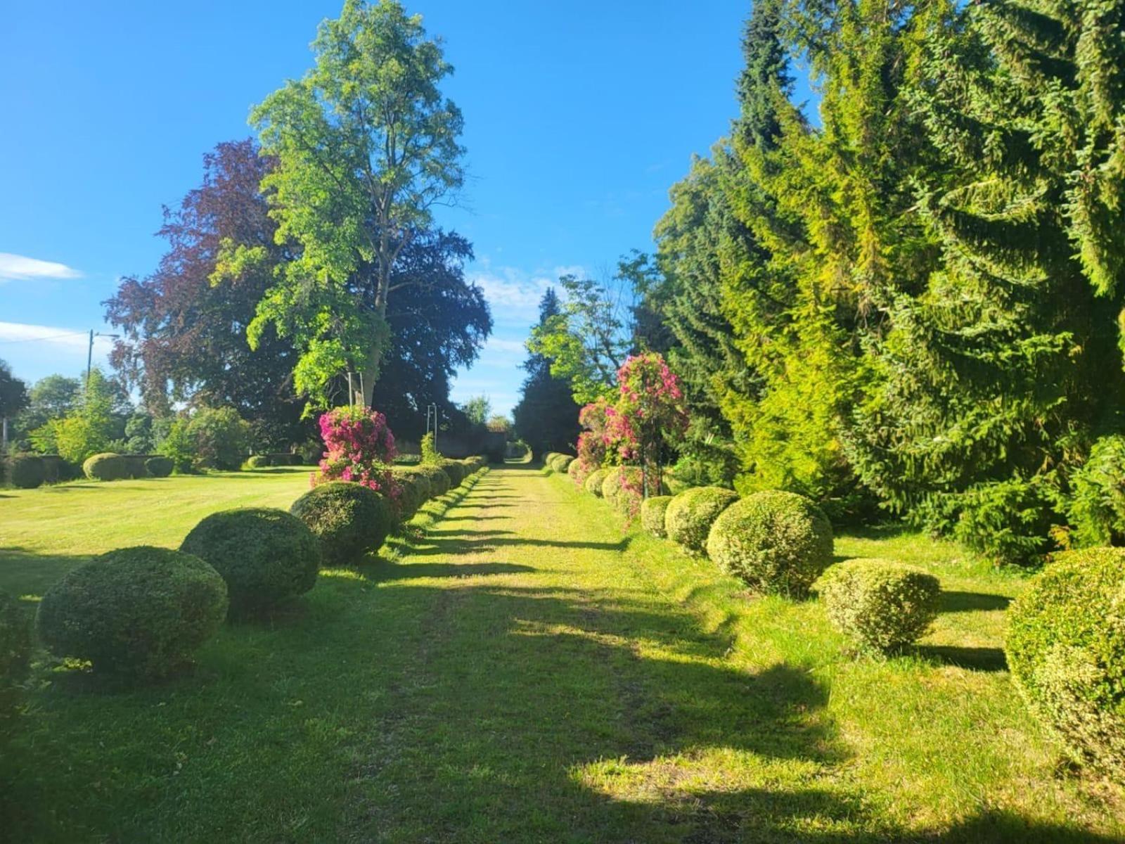 Chateau Du Mesnil Soleil , Gites Et Chambres D'Hotes Damblainville Dış mekan fotoğraf