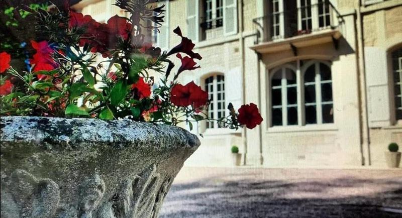 Chateau Du Mesnil Soleil , Gites Et Chambres D'Hotes Damblainville Dış mekan fotoğraf